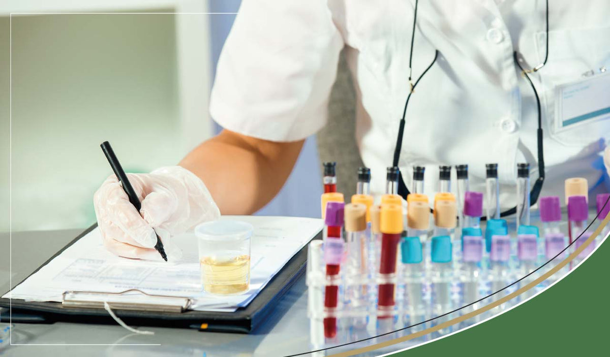 Urinalysis | Urine Analysis | Microscopic & Chemical Examination - SC ...