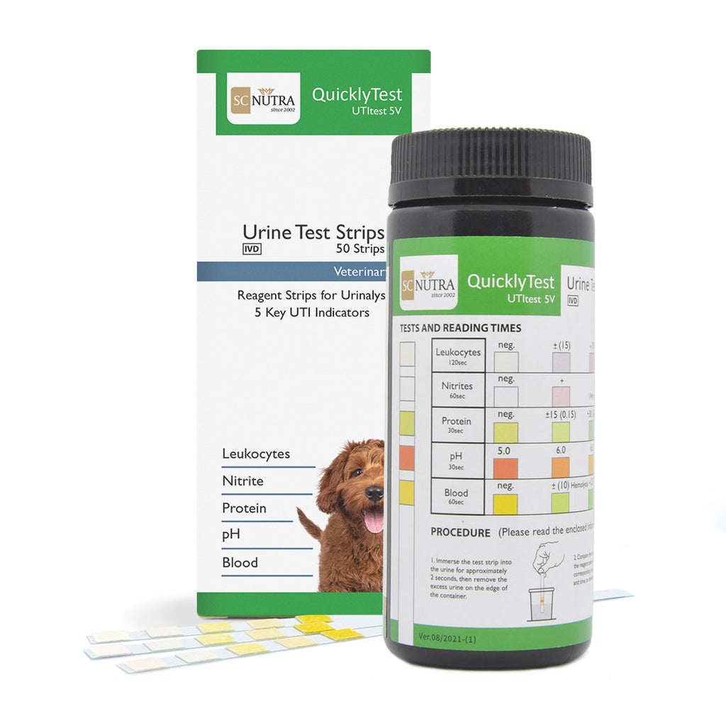 100 Pcs Urine PH Test Strips Urinalysis Testing Strips Urine Protein Test Strips